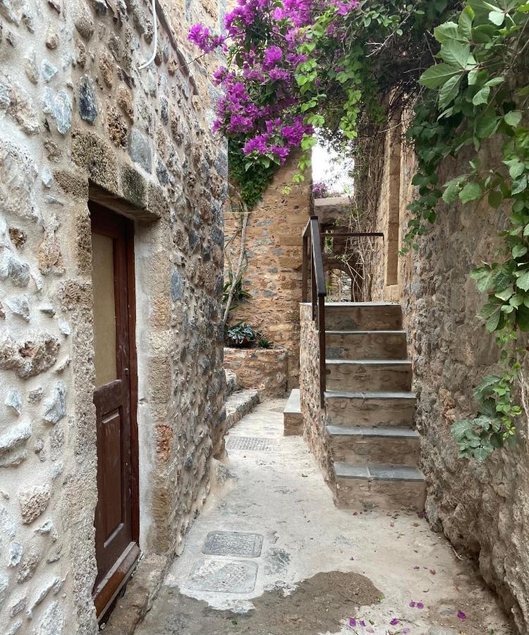 Vecchia Casa Sterna
